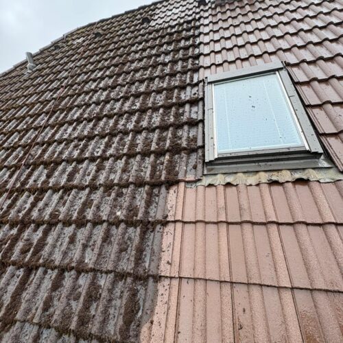 Dach eines stark vermossten Hauses während der Dachreinigung Vergleich verschmutzte und bereits gereinigte Flächen
